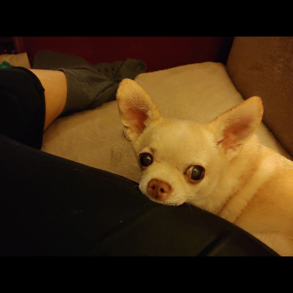 🐾🐾🩵🌊3/23 SHARE GROUP 🌊🩵🐾 - Picture 10 of 17